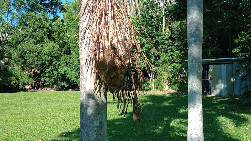 KROSS Pest Management in Bayview Heights