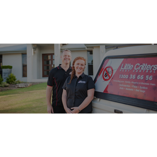 Little Critters Pest Control & Termite Management Specialists in Mountain Creek