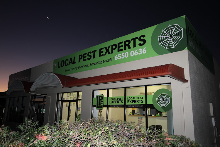 Local Pest Experts in Taree