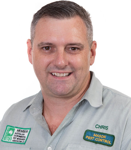 Mason Pest Control in Ransome