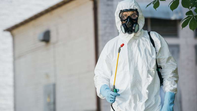 Maximum Pest Control Service in Mount Martha