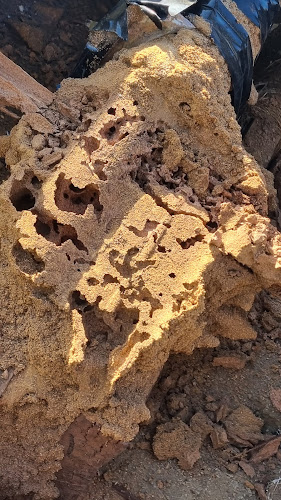 Megatec Pest Services in Perth