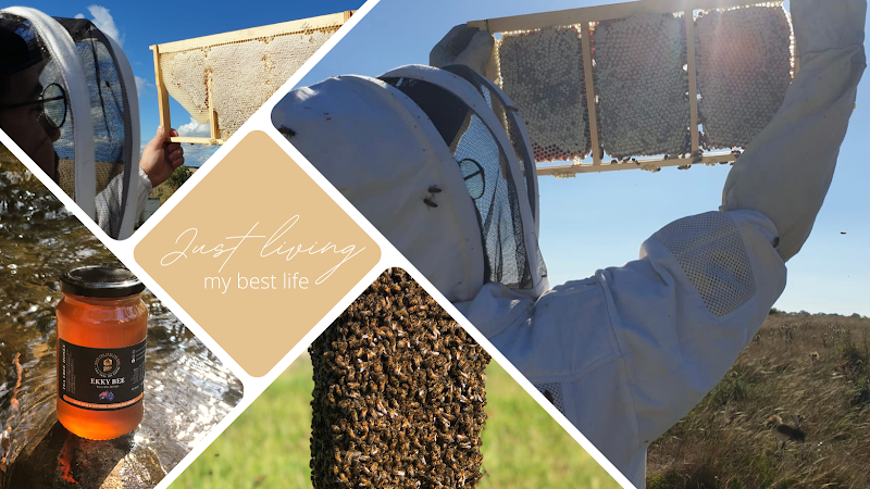 Melbourne Bee Remover in Campbellfield