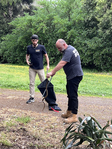 Melbourne snake control in Bangholme