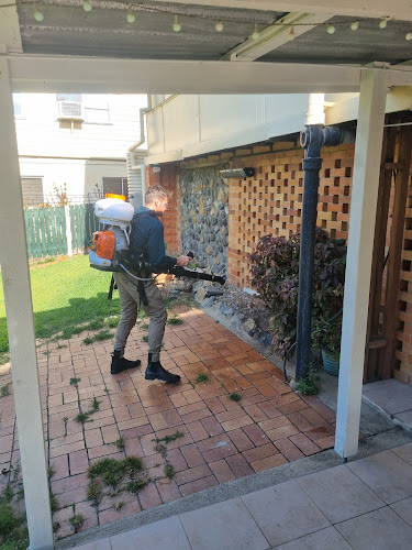 Mister Mozzie in Sunshine Coast