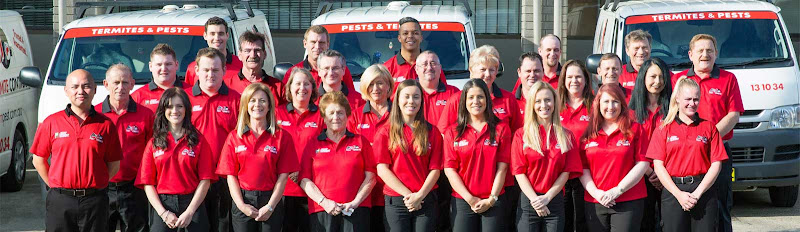 M&M Termite & Pest Control Haberfield in Sydney