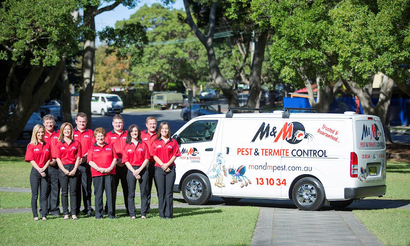 M&M Termite & Pest Control St Marys in Geraldton