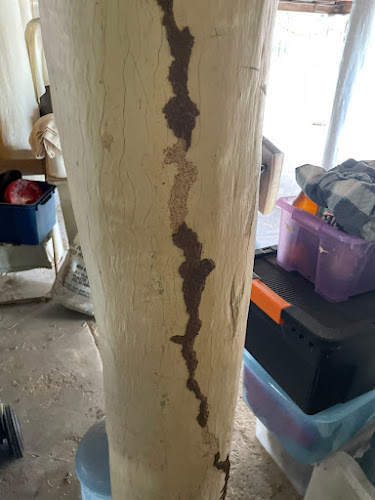 Nasties Pest Control in West Gladstone