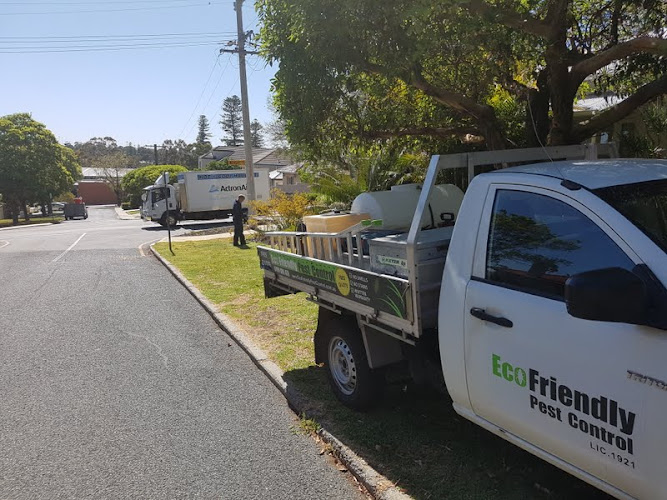 Nexus Termite Treatment Belmont in Belmont