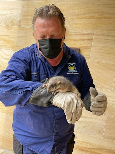 Noah's Ark Pest Control - Termite Treatment and Inspection Services in Sunshine