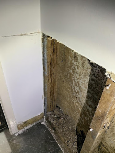 North Metro Pest Control in Elimbah