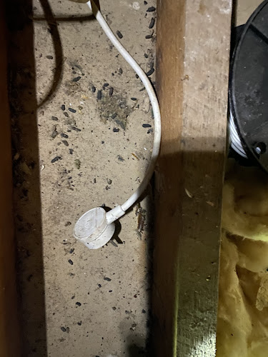 North Wollongong Pest Services in Balgownie