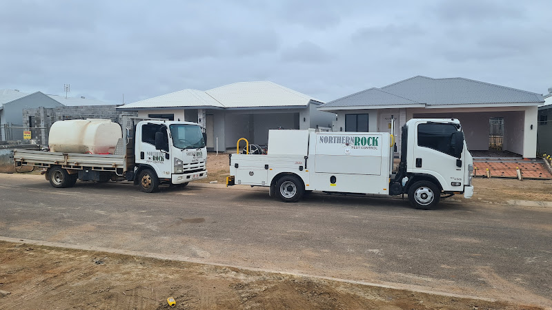 Northern Rock Pest Control in Pinelands