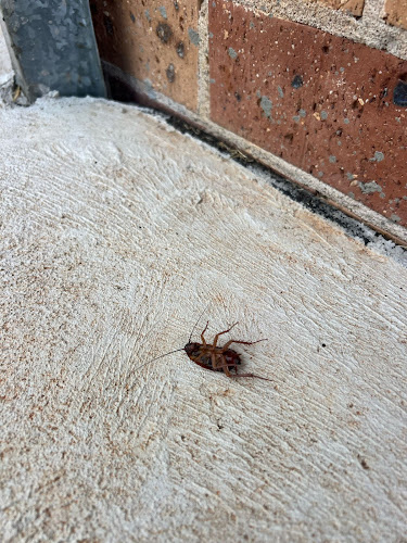 OCG Pest Control Liverpool in Liverpool