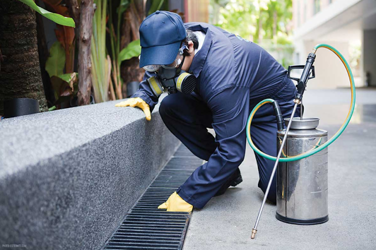 Origin Pest Management in Burpengary
