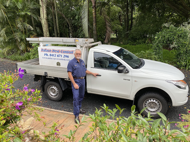 Palace Pest Control in Sunshine Coast