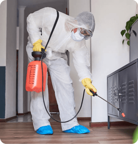 Pepi's Pest Control in Hampton