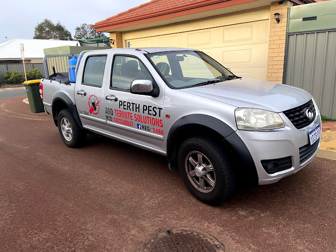 Perth Pest And Termite Solutions in Byford