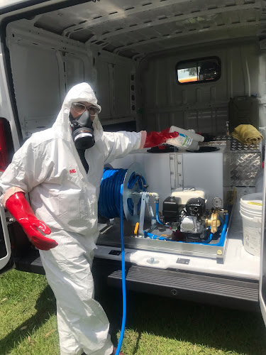 Pest Control and Termite Services in Regents Park