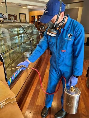 Pest Control in Colyton