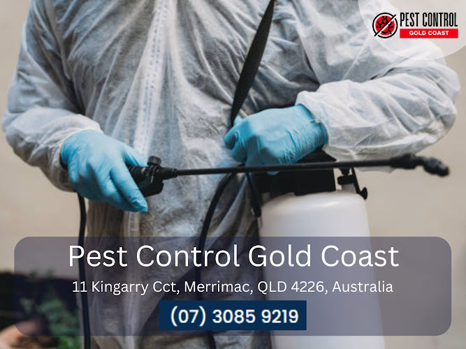 Pest Control Gold Coast in Merrimac