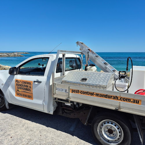 Pest Control Mandurah and Surrounds in Mandurah