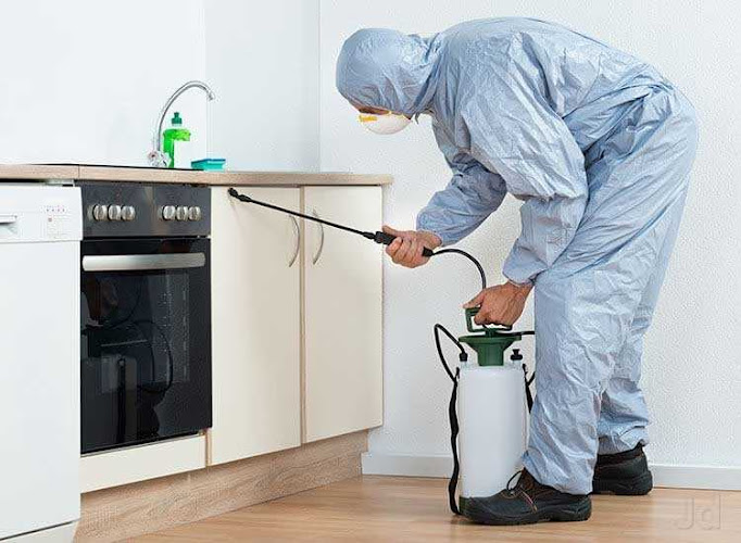 Pest Control Services, Cockroach Termite Bedbugs Rats Mosquito etc in Geraldton
