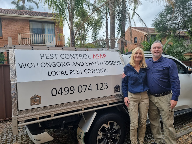 Pest Control Wollongong Asap in Wollongong