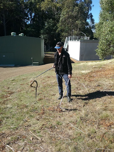 Pest Controller in Molesworth