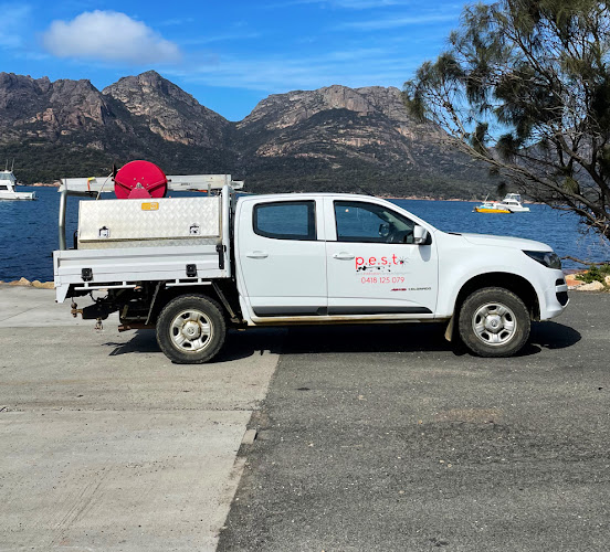 Pest Eradication Services Tasmania in Hobart