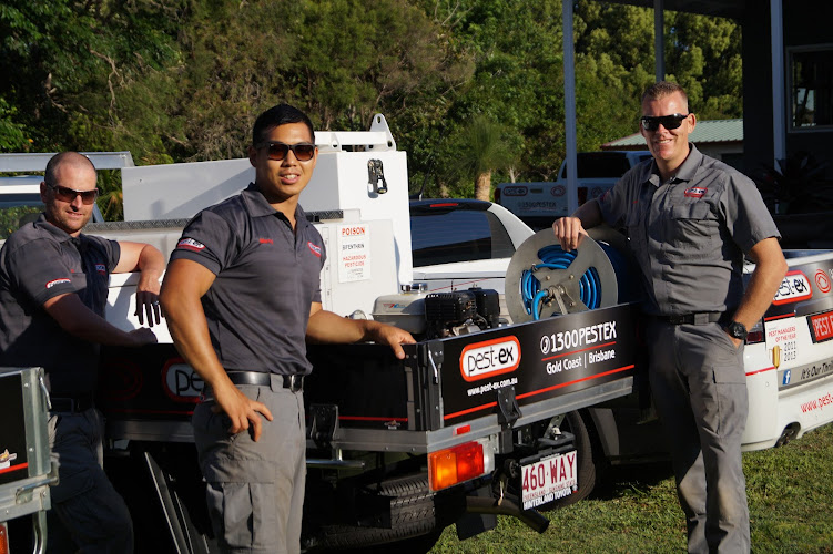 Pest-Ex Termite & Pest Control Gold Coast in Varsity Lakes