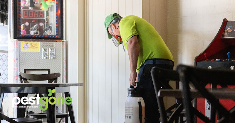 Pest Gone Pest Control in Stones Corner