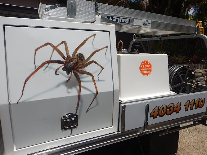 Pest Off Solutions Pest Control Cairns in Brinsmead