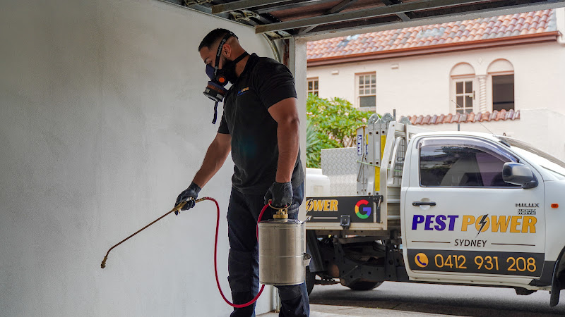 Pest Power Sydney in Surry Hills