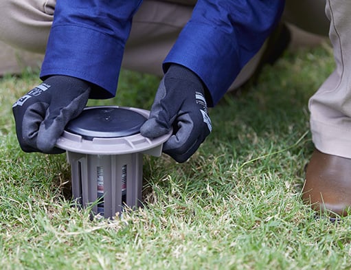 Pest Relief in Canning Vale