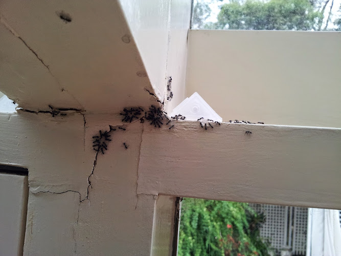 PestAway in Port Melbourne