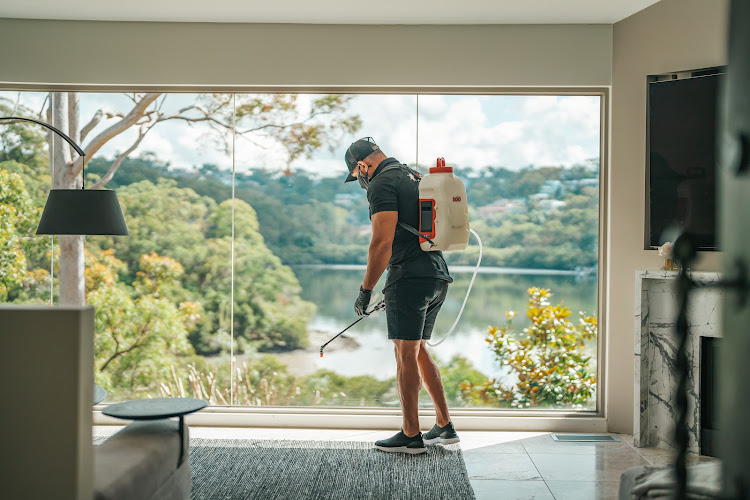 Pestaway Sydney in Zetland