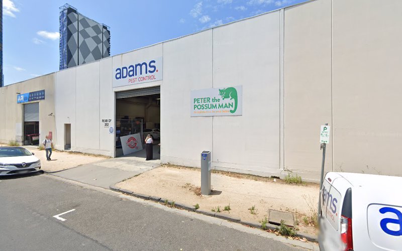 Peter the Possum Man in South Melbourne