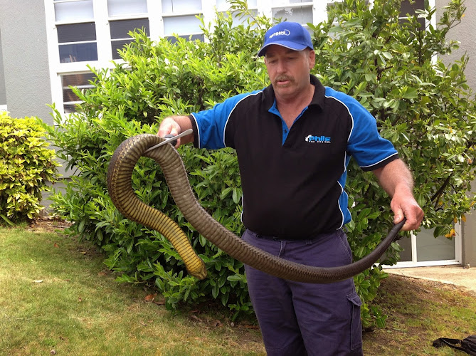 Phils Pest Control in Latrobe