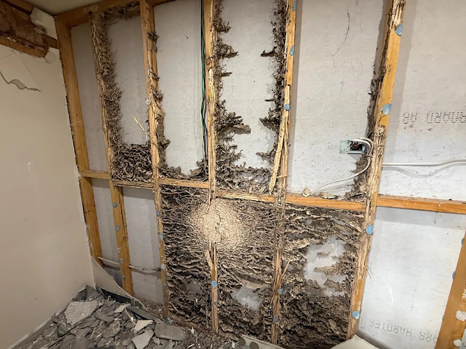 Pillar Pest Management in Freshwater