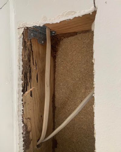 Precision Pest Control Adelaide SA in Gawler