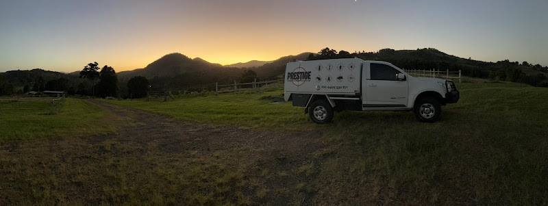 Prestige Termite & Pest Solutions in Emerald