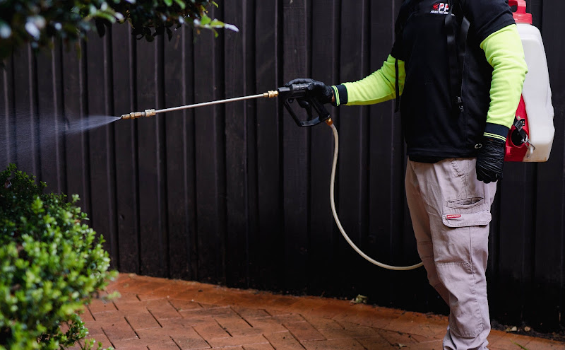 Prevent Pest Control in Sydney