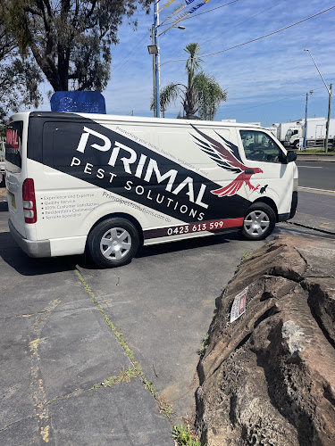 Primal Pest Solutions in Wagga Wagga