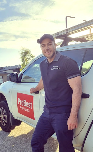 Pro - Best Pest Control Melbourne in Brighton