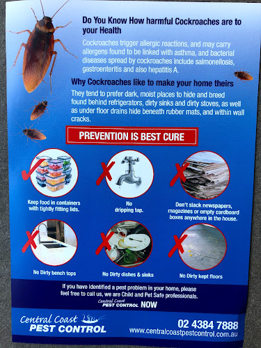 Professional Pest Control Central Coast in Forresters Beach