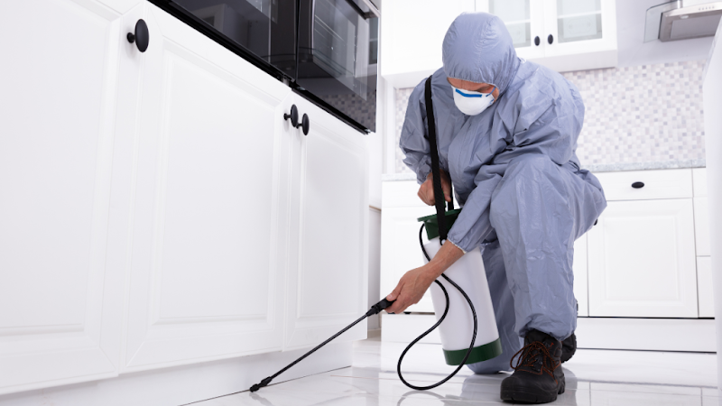 Prompt Pest control service in Ascot Vale
