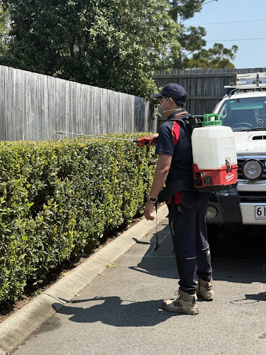 Protective Pest Management in Marsden