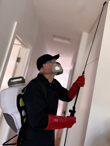 RAD Pest Control in Kingston Beach