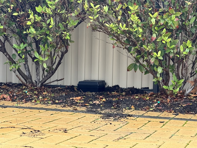 Rats Pest Control Perth in Landsdale
